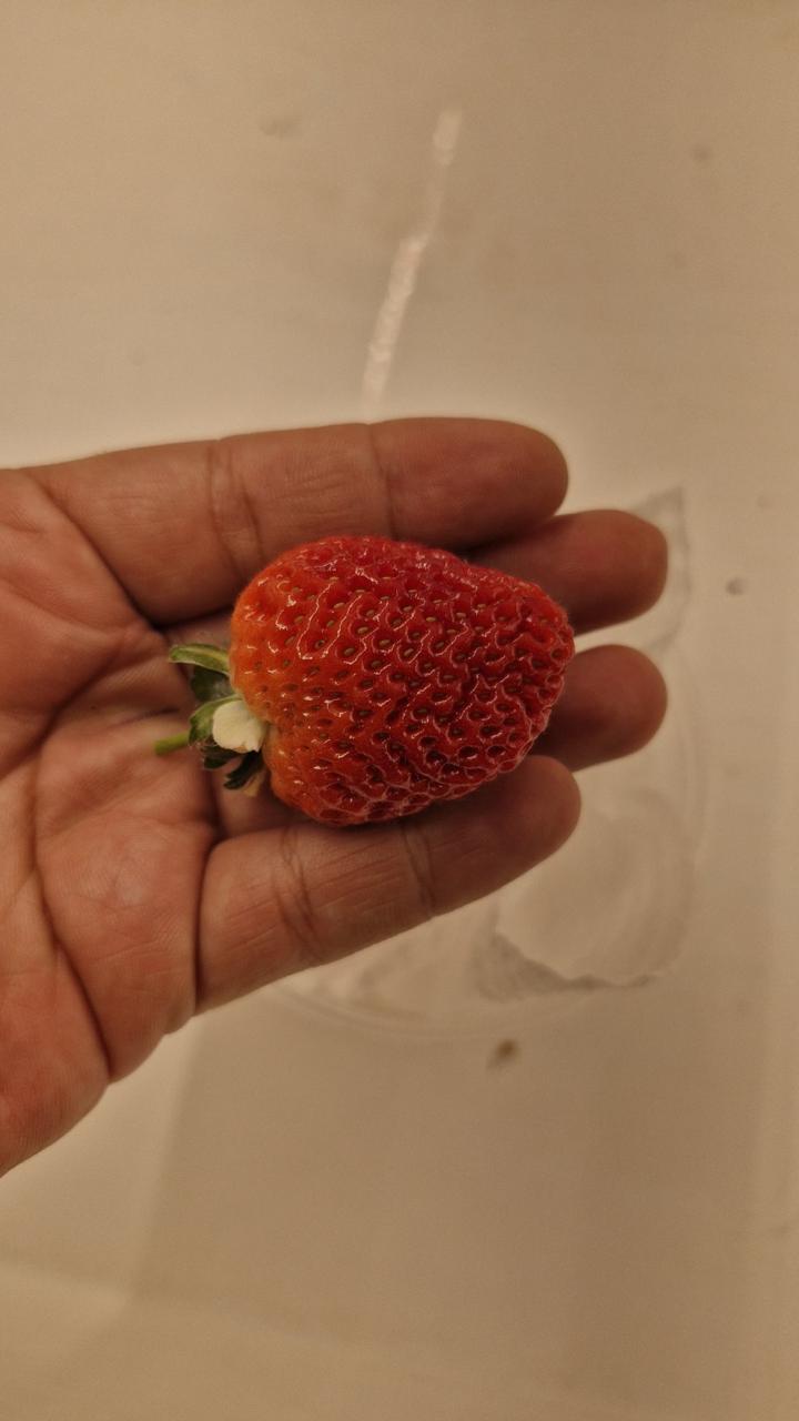 Imagen de galeria 10